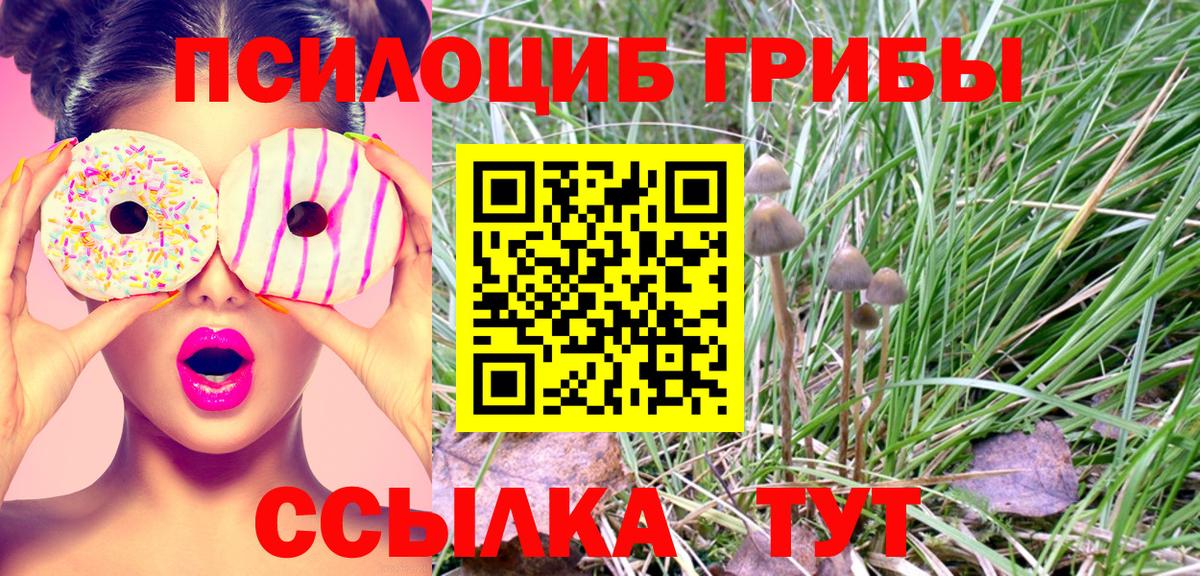 Галлюциногенные грибы Psilocybine cubensis Россия