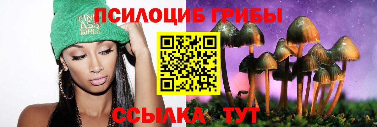 Россия  Галлюциногенные грибы Psilocybe  Вход с VPN 
