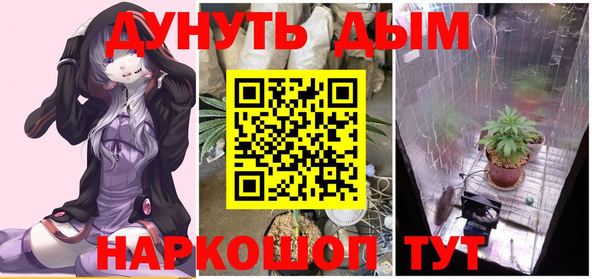 Каннабис план  Бошки Шишки тримм  Вход с VPN  Россия  МАРИХУАНА тримм  Бошки Шишки планчик 